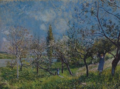 Obstgarten im Frühling von Alfred Sisley